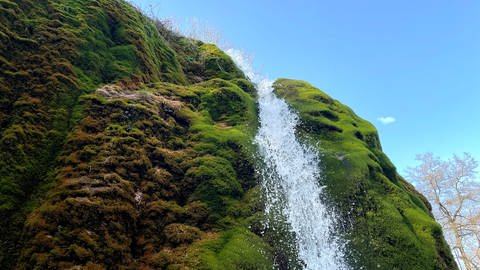 Der Wasserfall plätschert über einen Felsvorsprung, der ringsum mit Moos bewachsen ist.